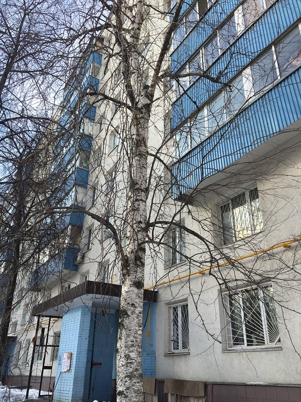 3-комнатная квартира, 50 м² - фото 10