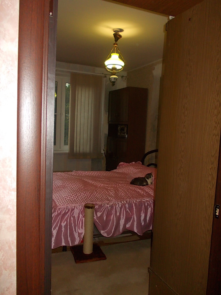 2-комнатная квартира, 47 м² - фото 3