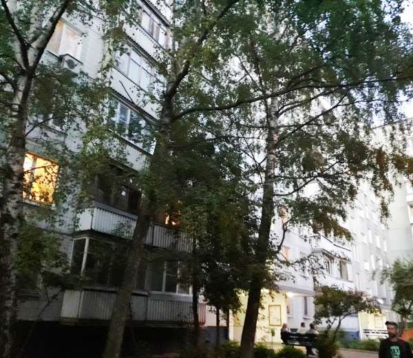 Фото квартиры