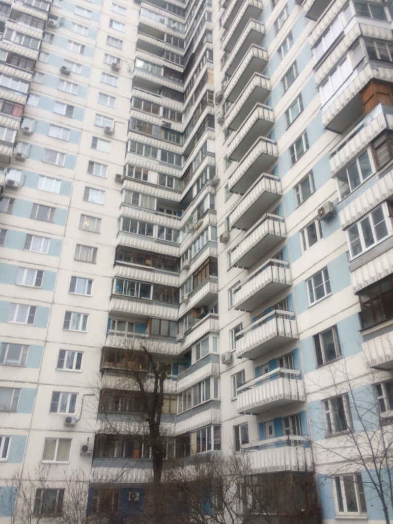 3-комнатная квартира, 74.3 м² - фото 7