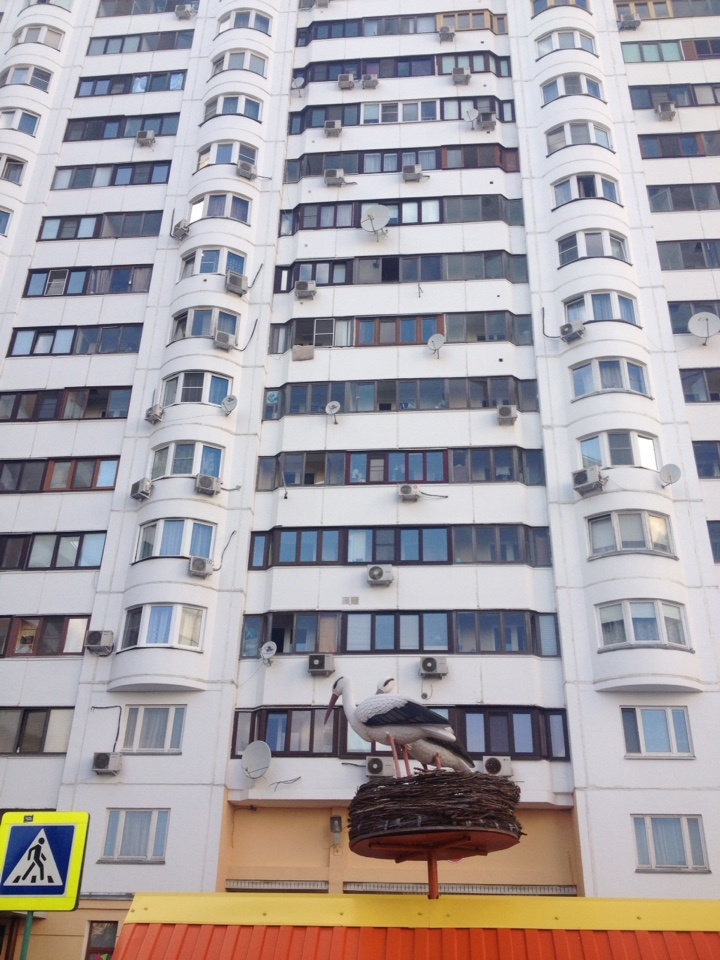 3-комнатная квартира, 74 м² - фото 10