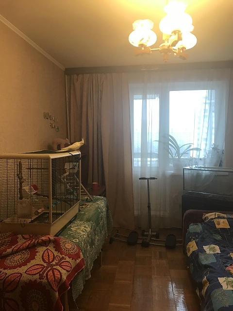 3-комнатная квартира, 84 м² - фото 2