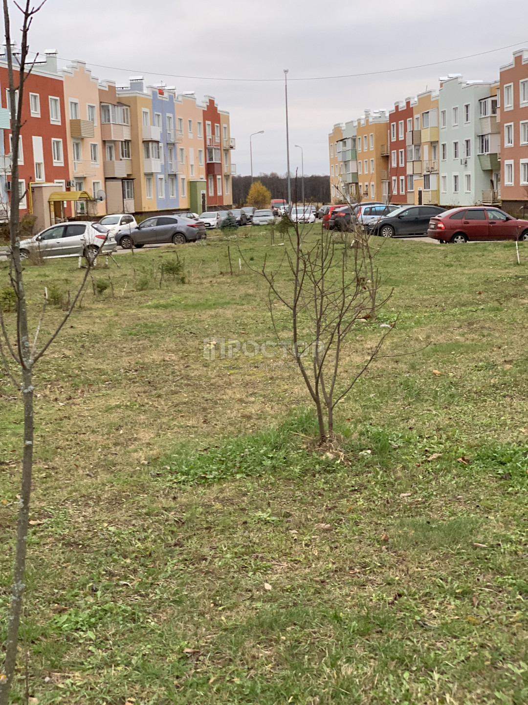 2-комнатная квартира, 46 м² - фото 4