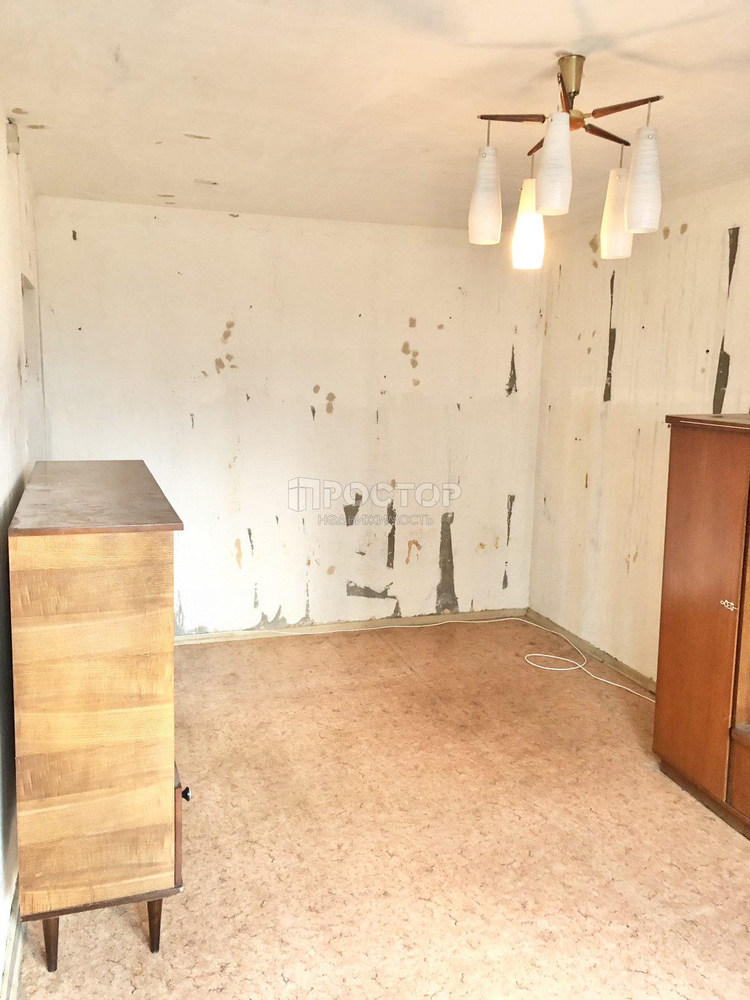 2-комнатная квартира, 53.5 м² - фото 5