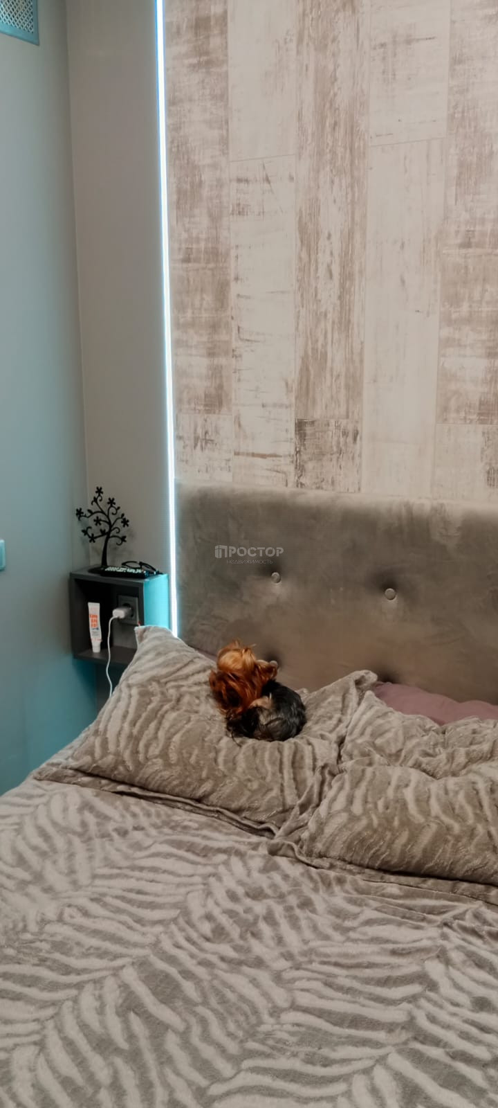 1-комнатная квартира, 40 м² - фото 6