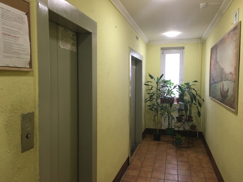 3-комнатная квартира, 80.6 м² - фото 8