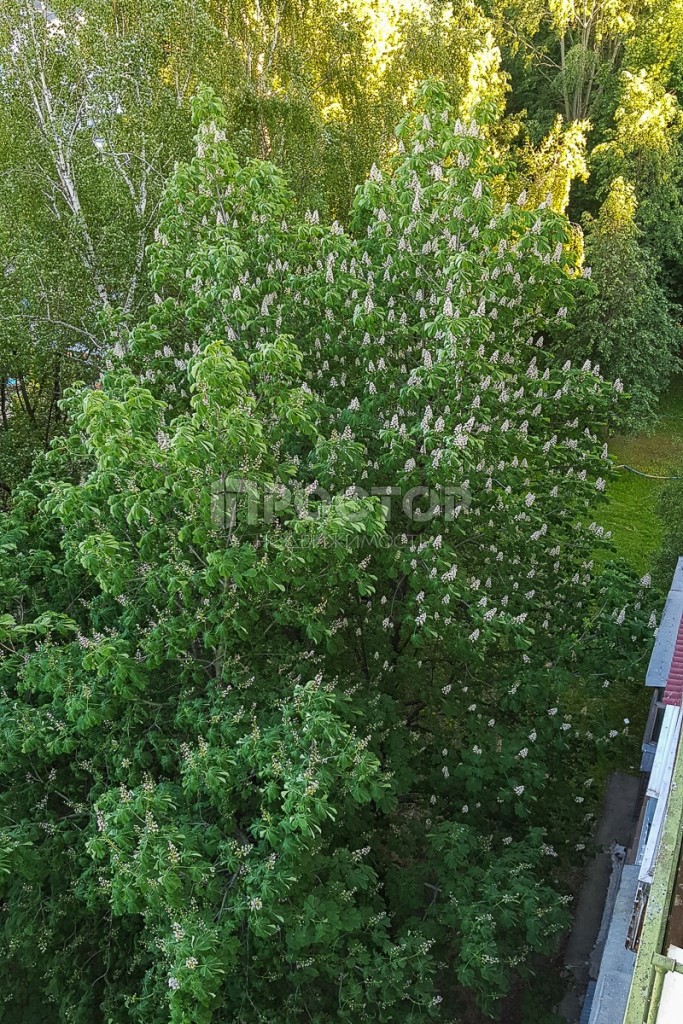 2-комнатная квартира, 47 м² - фото 30