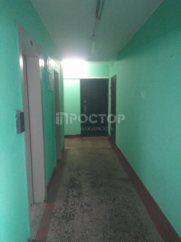 2-комнатная квартира, 53.8 м² - фото 5