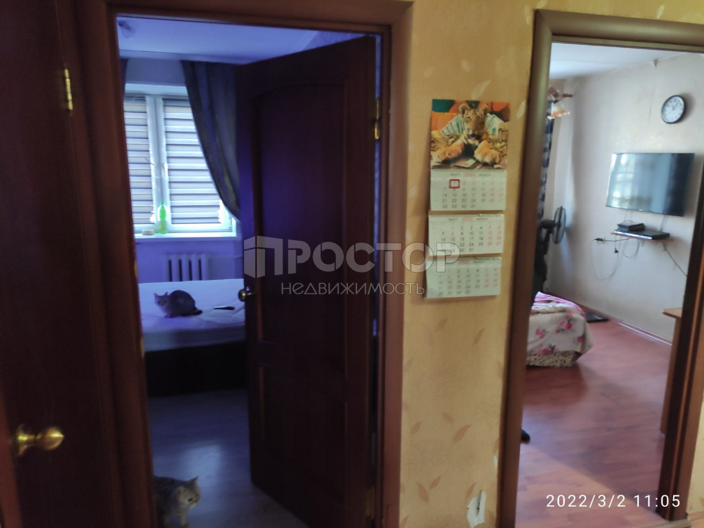 3-комнатная квартира, 60.8 м² - фото 7