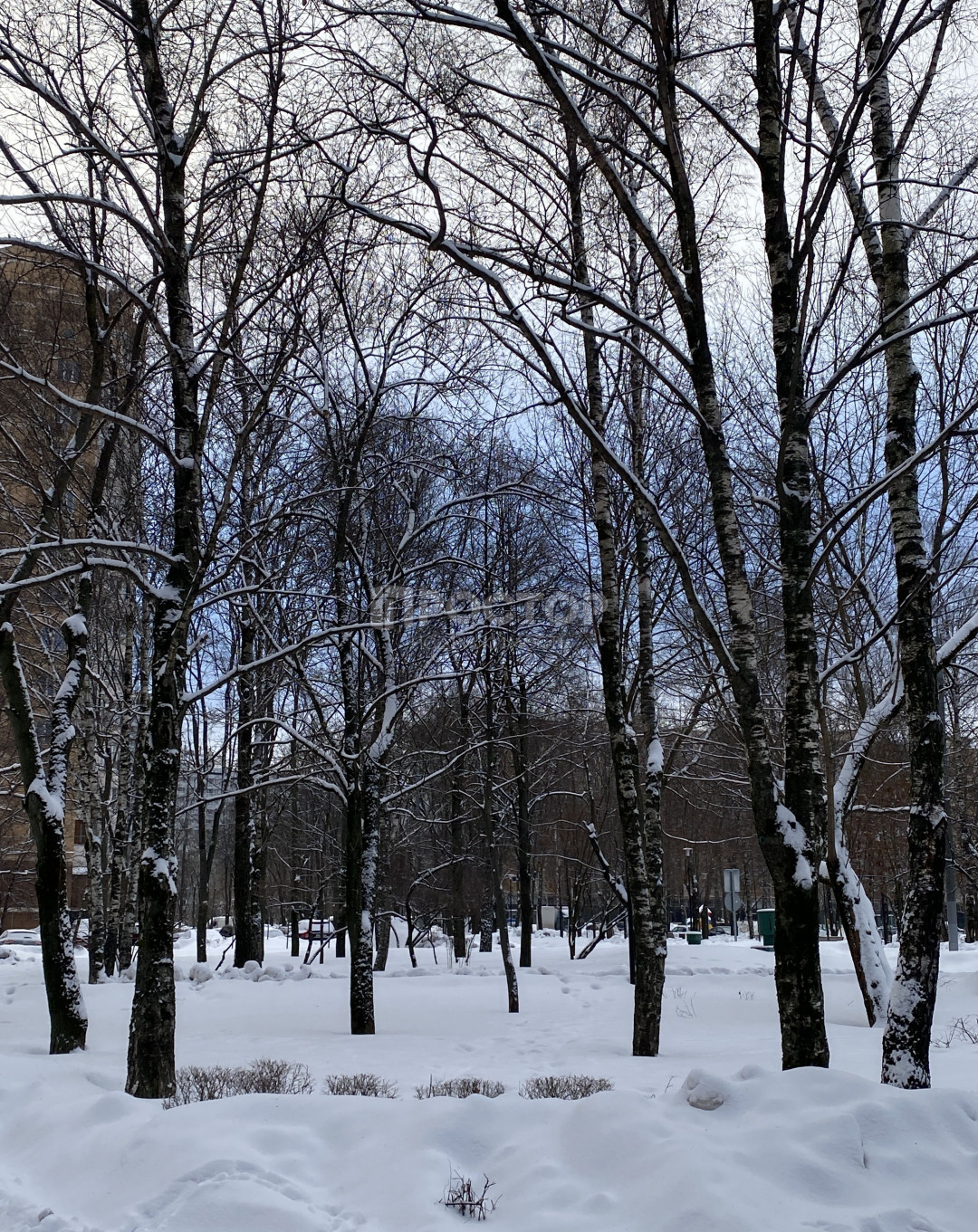 2-комнатная квартира, 55 м² - фото 10