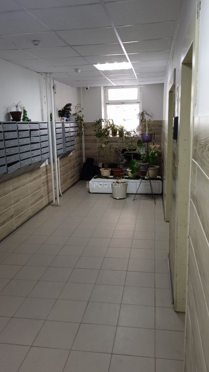 2-комнатная квартира, 65.5 м² - фото 3
