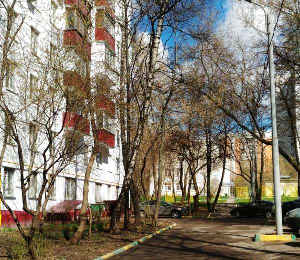 Фото квартиры