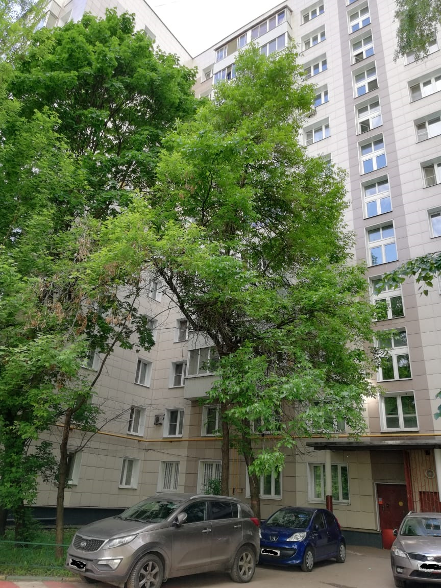 2-комнатная квартира, 39 м² - фото 10