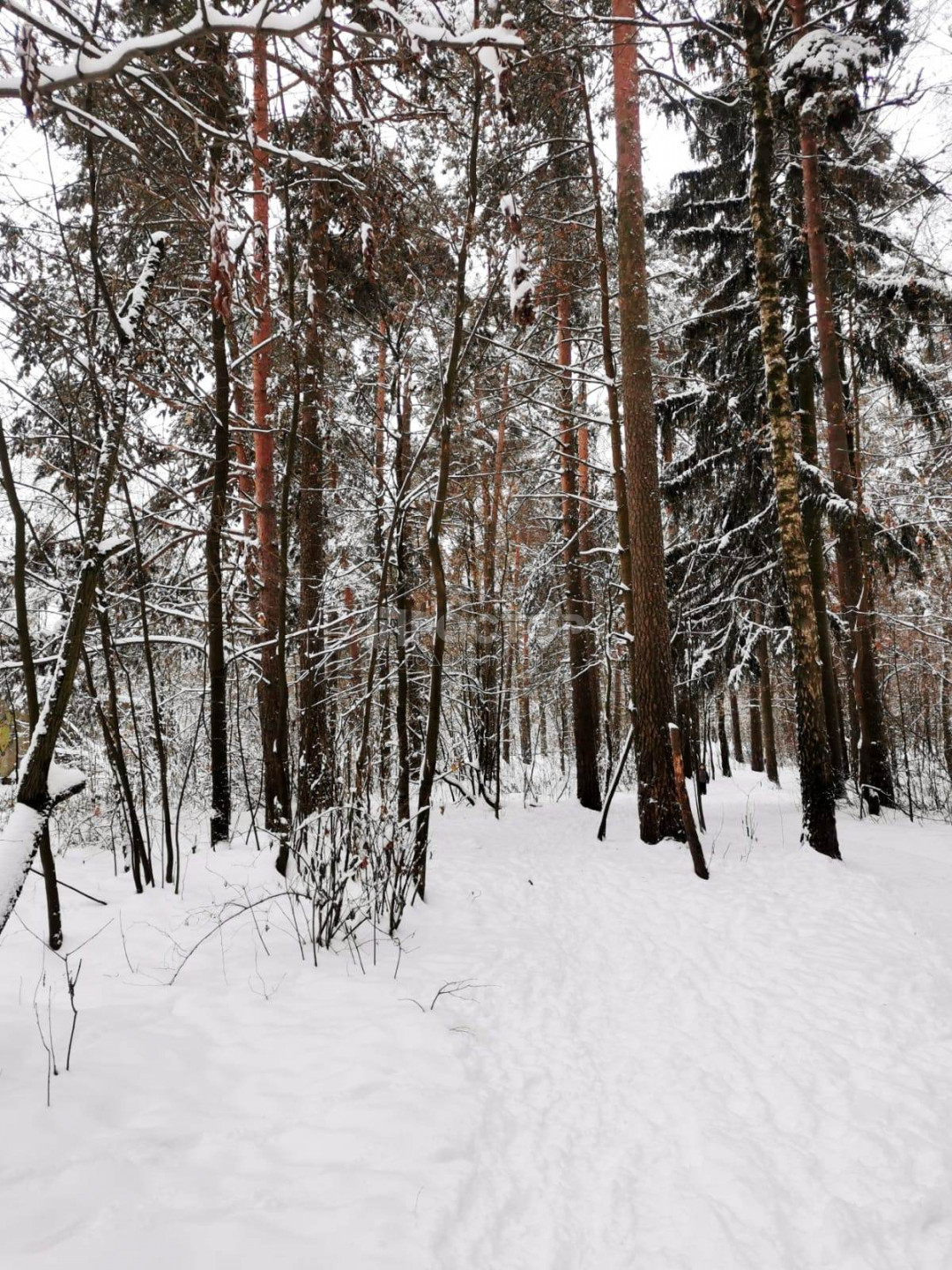 3-комнатная квартира, 56.1 м² - фото 30