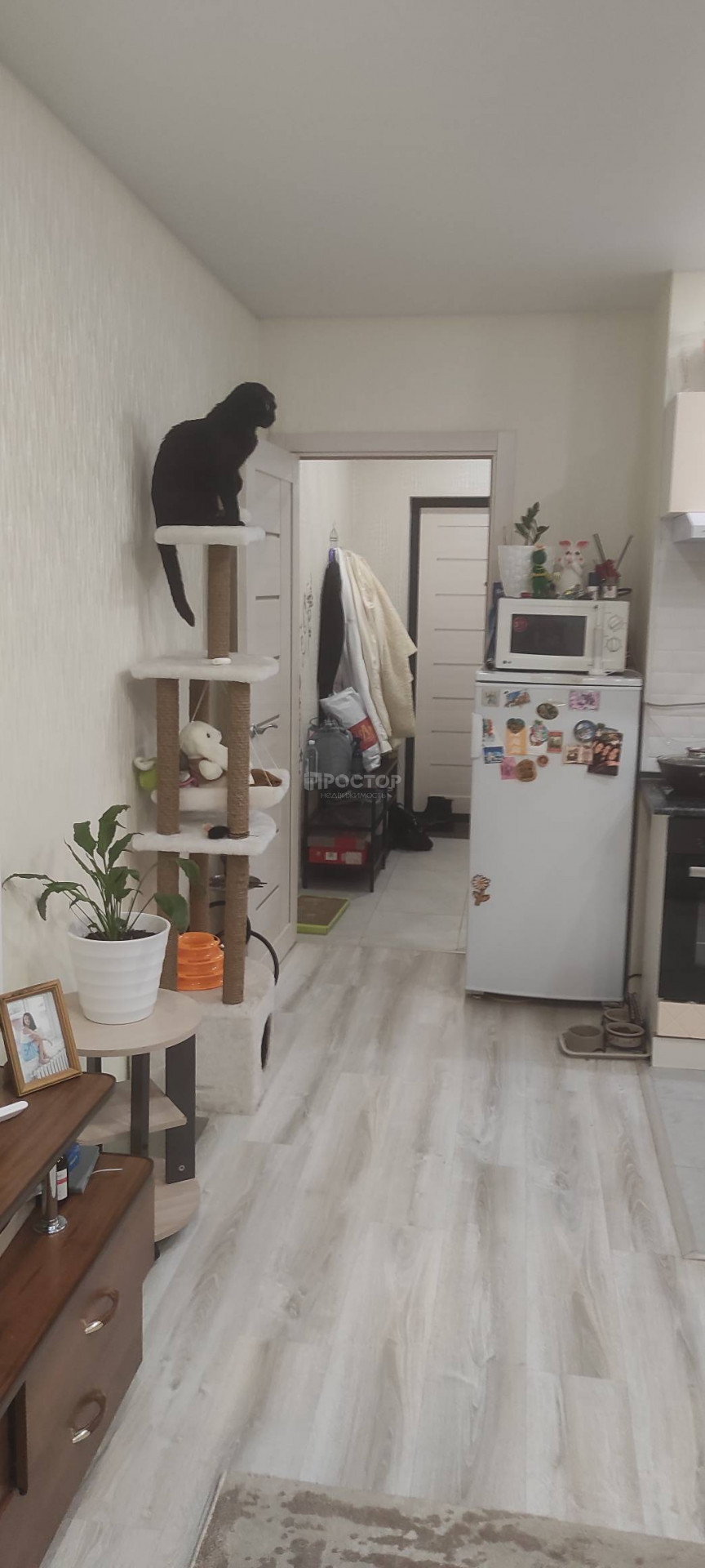 Студия, 26.2 м² - фото 4