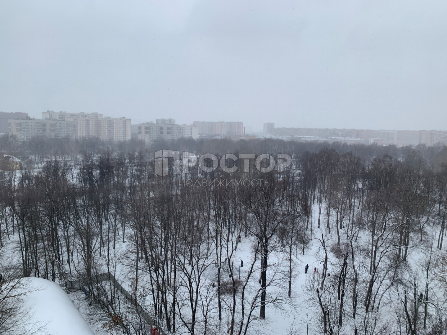 2-комнатная квартира, 54.9 м² - фото 4