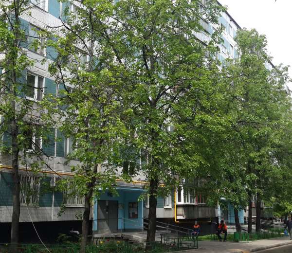Фото квартиры