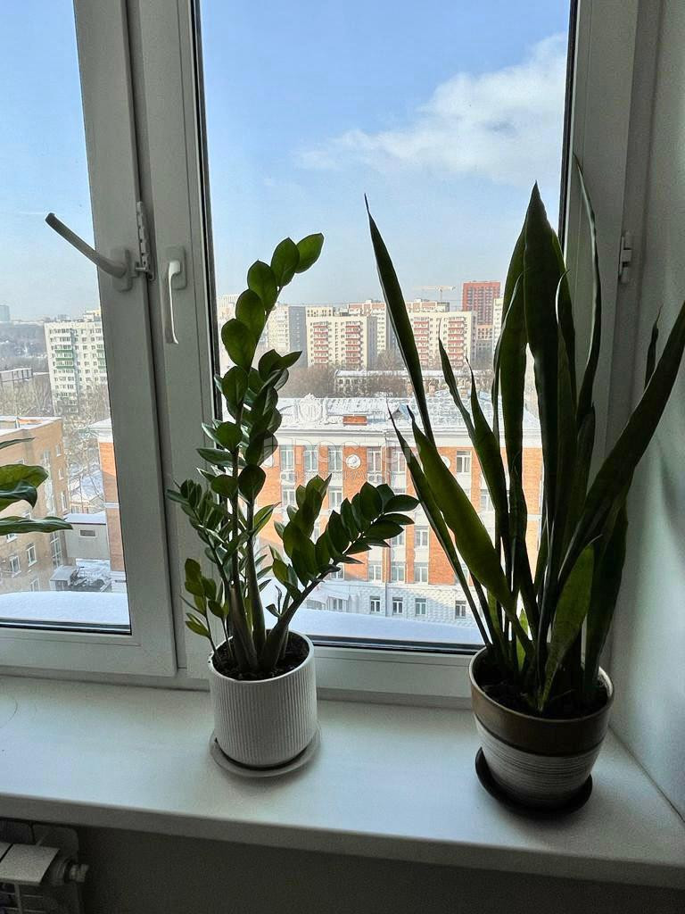 3-комнатная квартира, 66.7 м² - фото 26