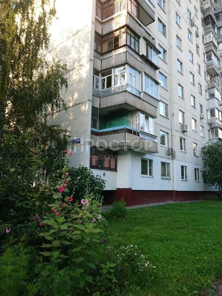 2-комнатная квартира, 53.8 м² - фото 4