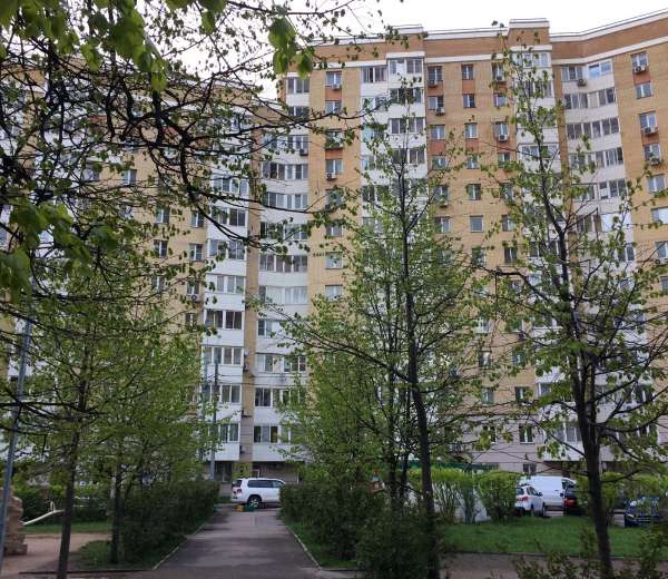 Фото квартиры