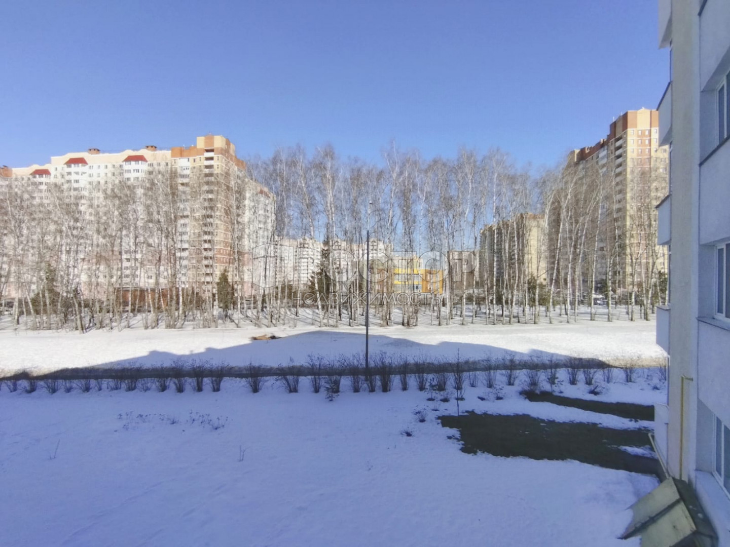 3-комнатная квартира, 74.6 м² - фото 22