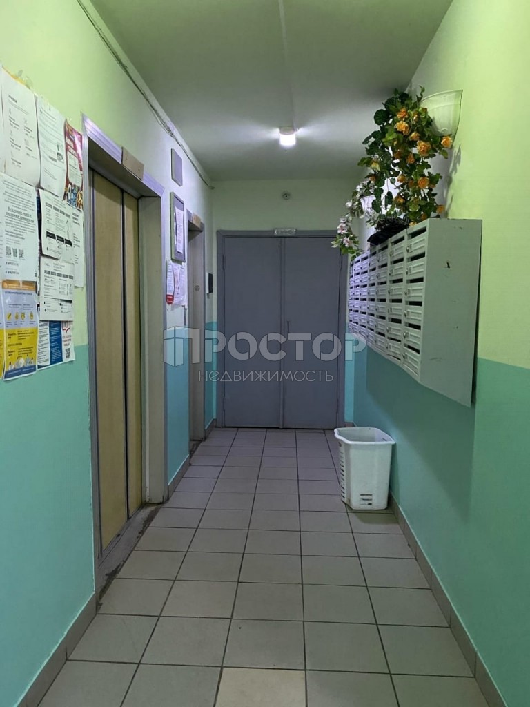 3-комнатная квартира, 76 м² - фото 3