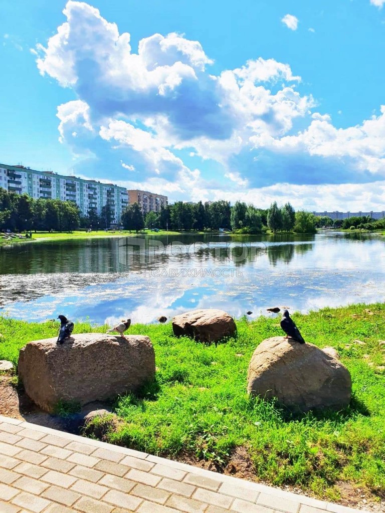 1-комнатная квартира, 38.5 м² - фото 23