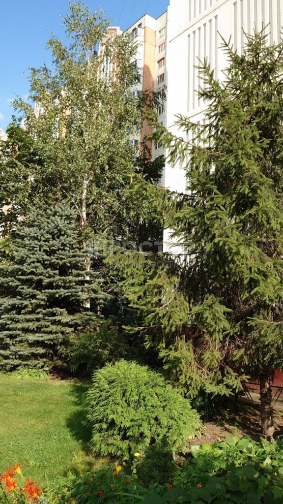 1-комнатная квартира, 38.2 м² - фото 23