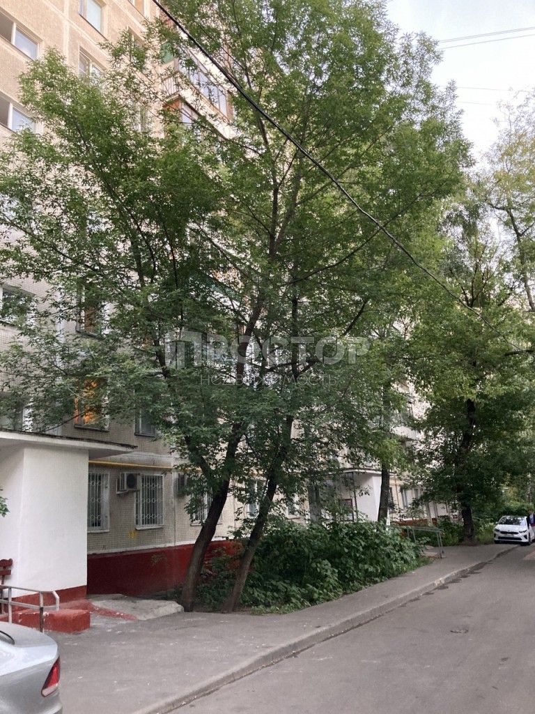 3-комнатная квартира, 52.3 м² - фото 4