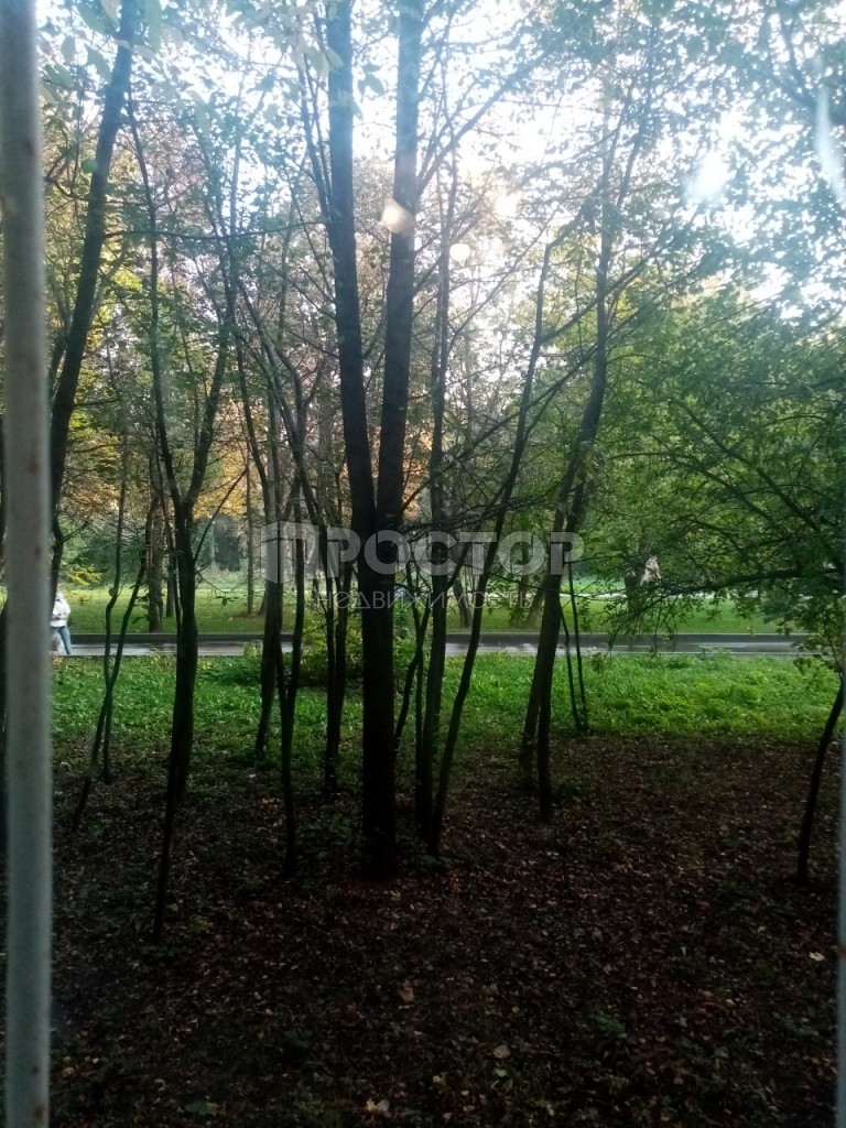 1-комнатная квартира, 35 м² - фото 7