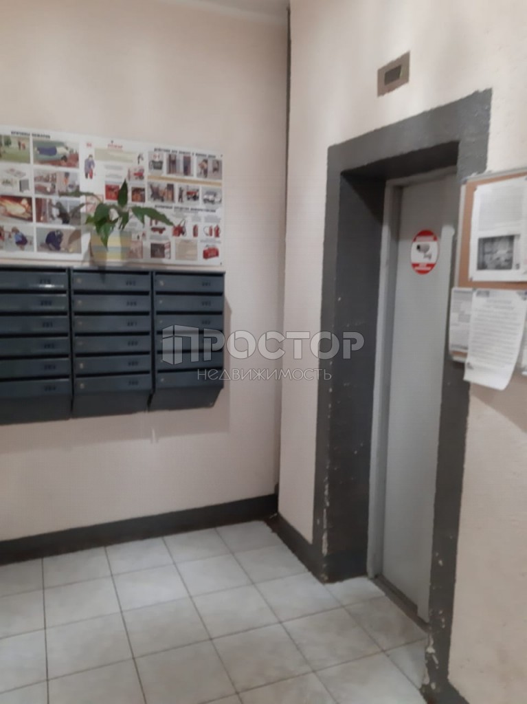 2-комнатная квартира, 55 м² - фото 4