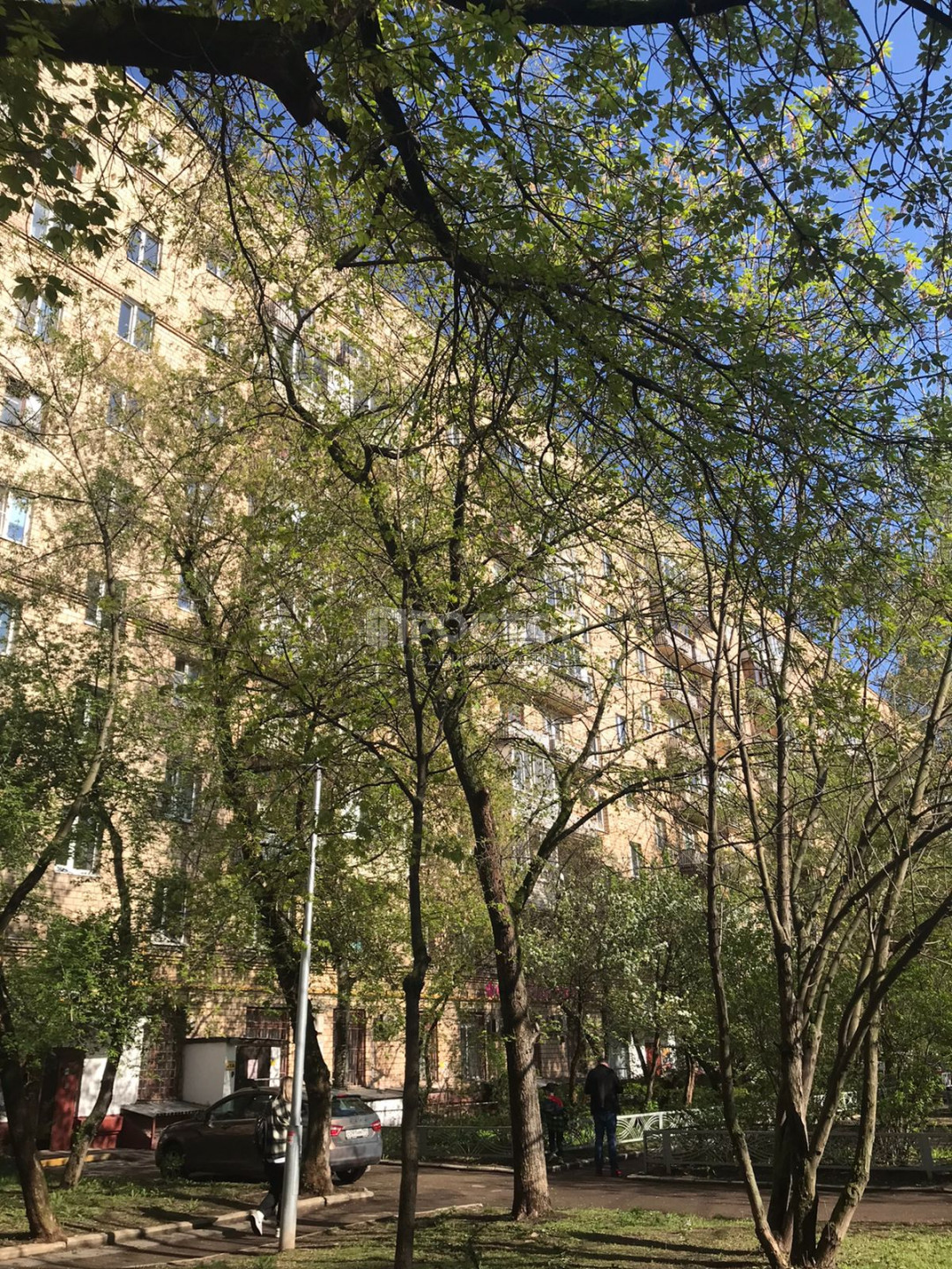 2-комнатная квартира, 37.8 м² - фото 3