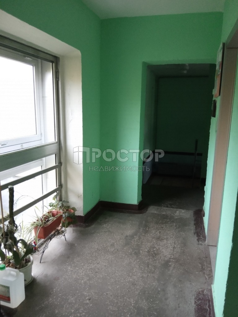 3-комнатная квартира, 81.3 м² - фото 6