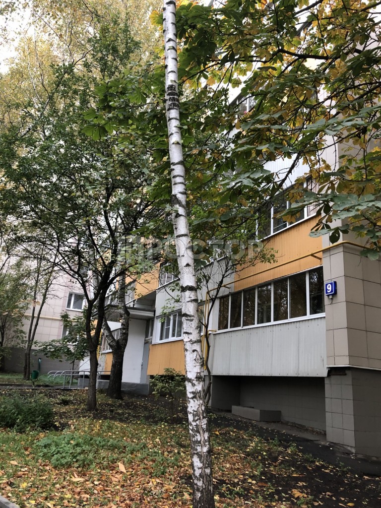 1-комнатная квартира, 35 м² - фото 11