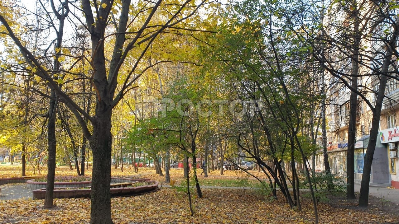 2-комнатная квартира, 34.3 м² - фото 4