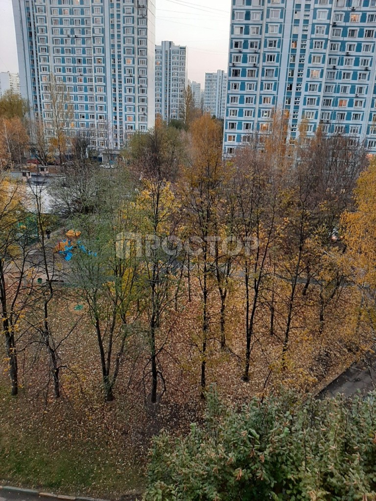 3-комнатная квартира, 74 м² - фото 6