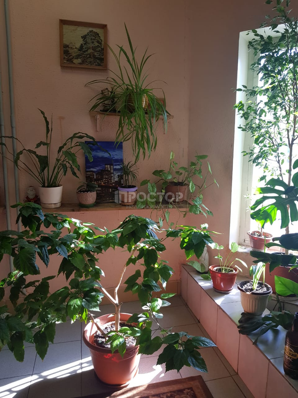 1-комнатная квартира, 43.6 м² - фото 4