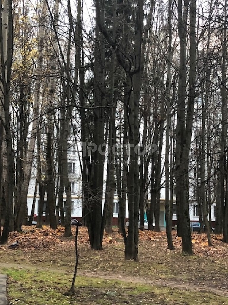 1-комнатная квартира, 32.9 м² - фото 15