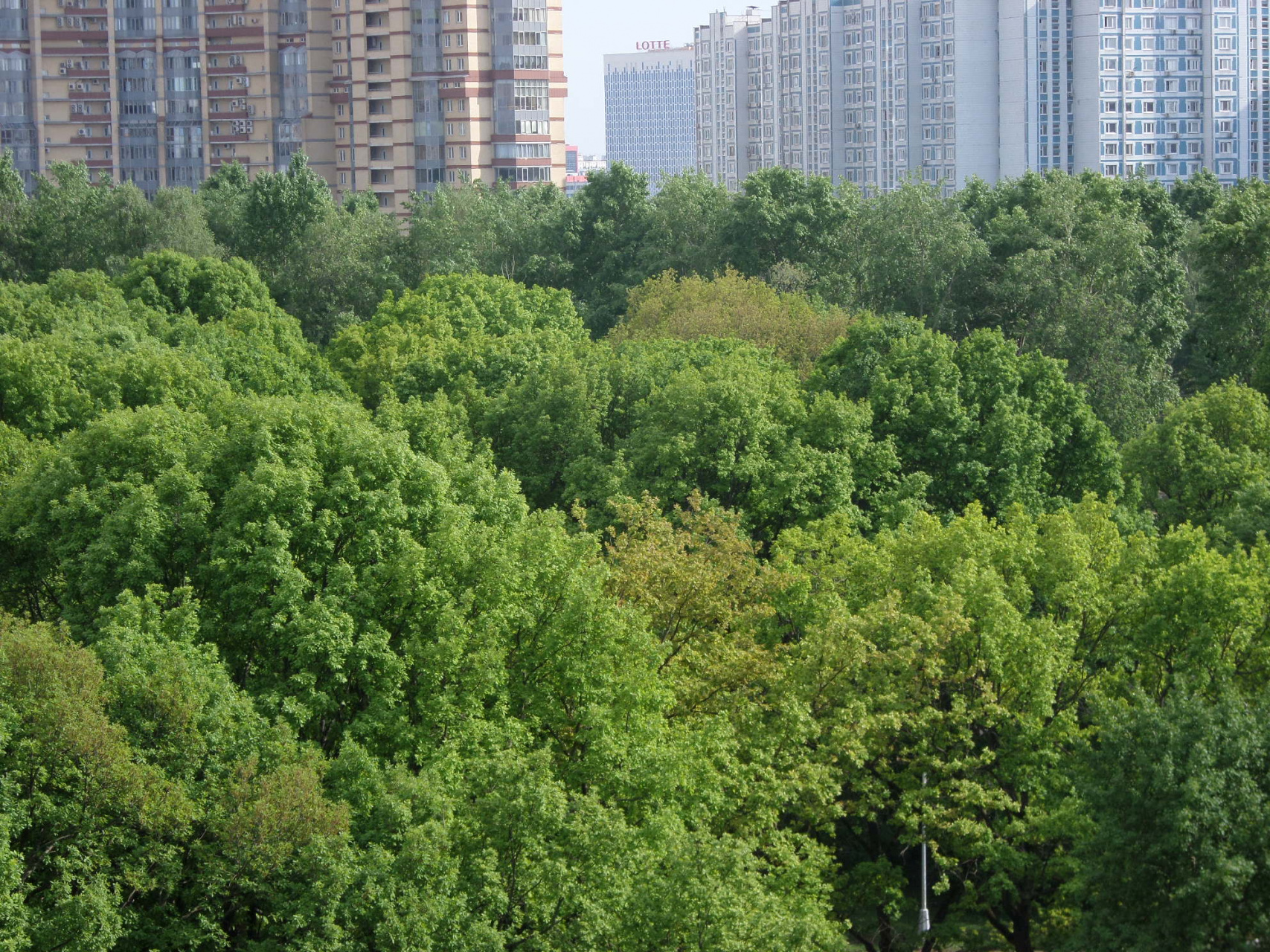 0-комнатная квартира, 110 м² - фото 8