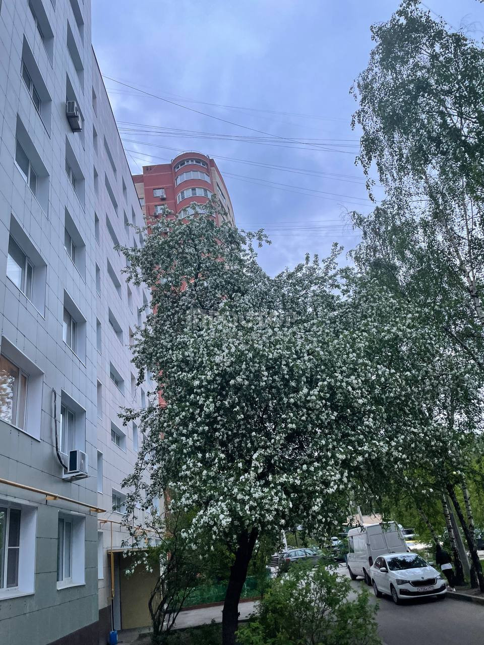2-комнатная квартира, 49.8 м² - фото 27