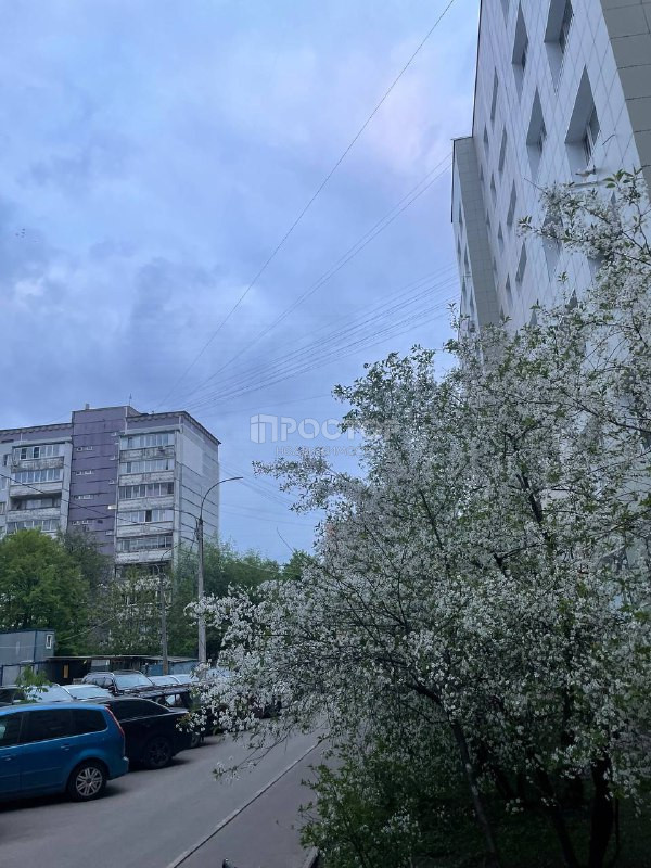 2-комнатная квартира, 49.8 м² - фото 23