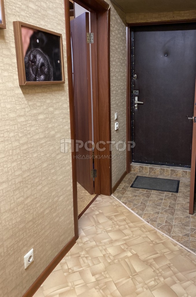 2-комнатная квартира, 51.6 м² - фото 5