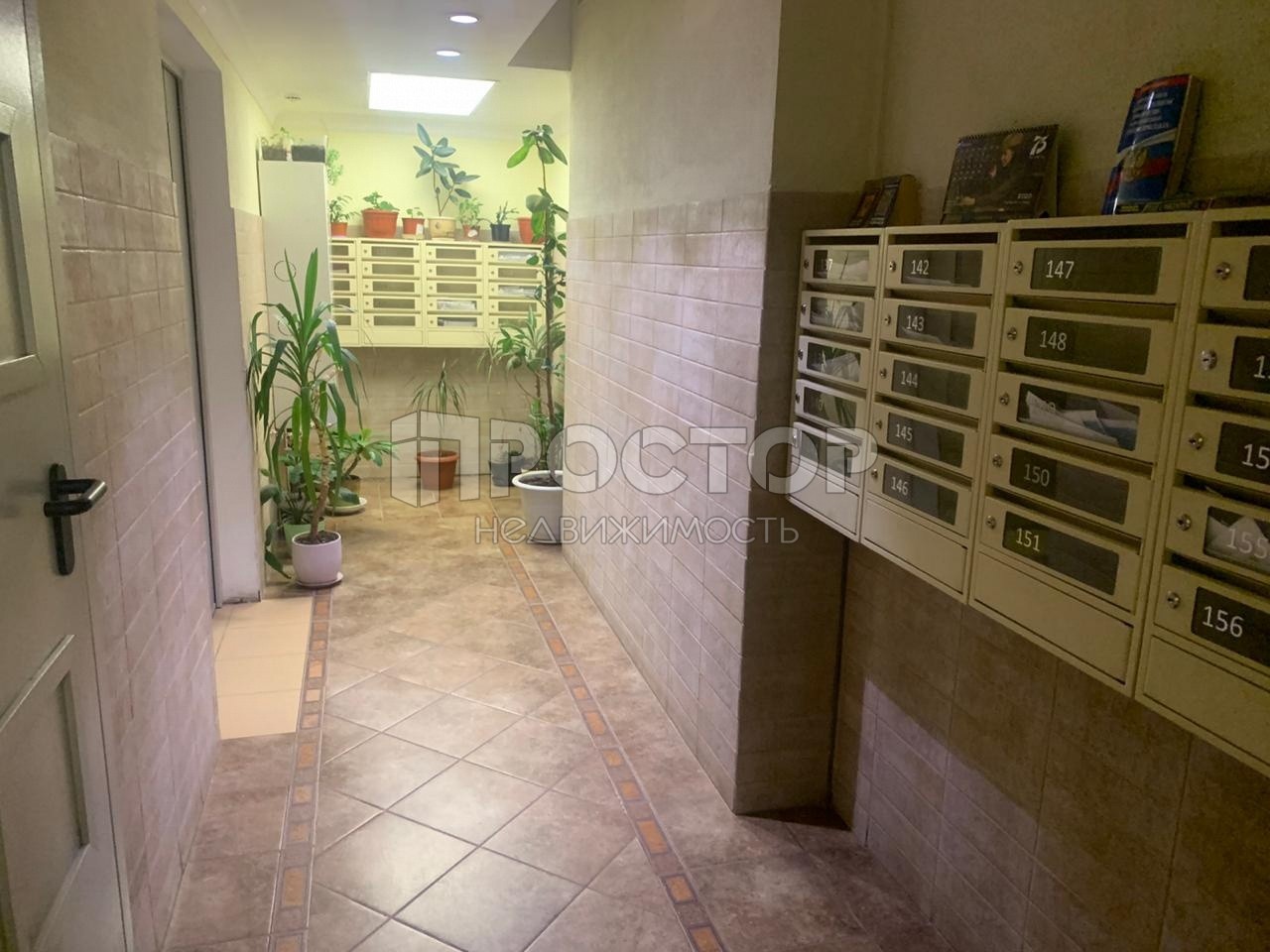 2-комнатная квартира, 52 м² - фото 5