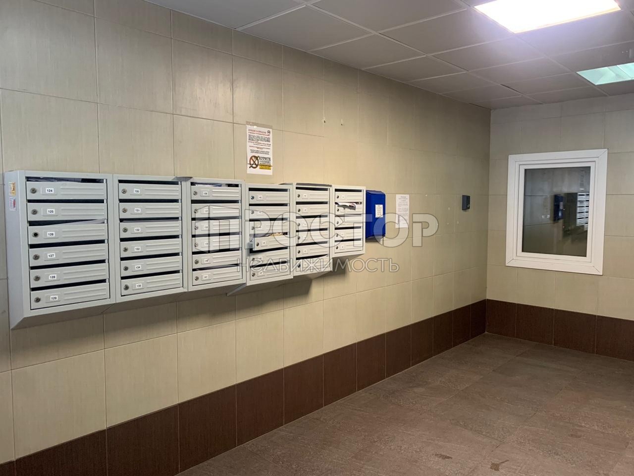 2-комнатная квартира, 66.1 м² - фото 4