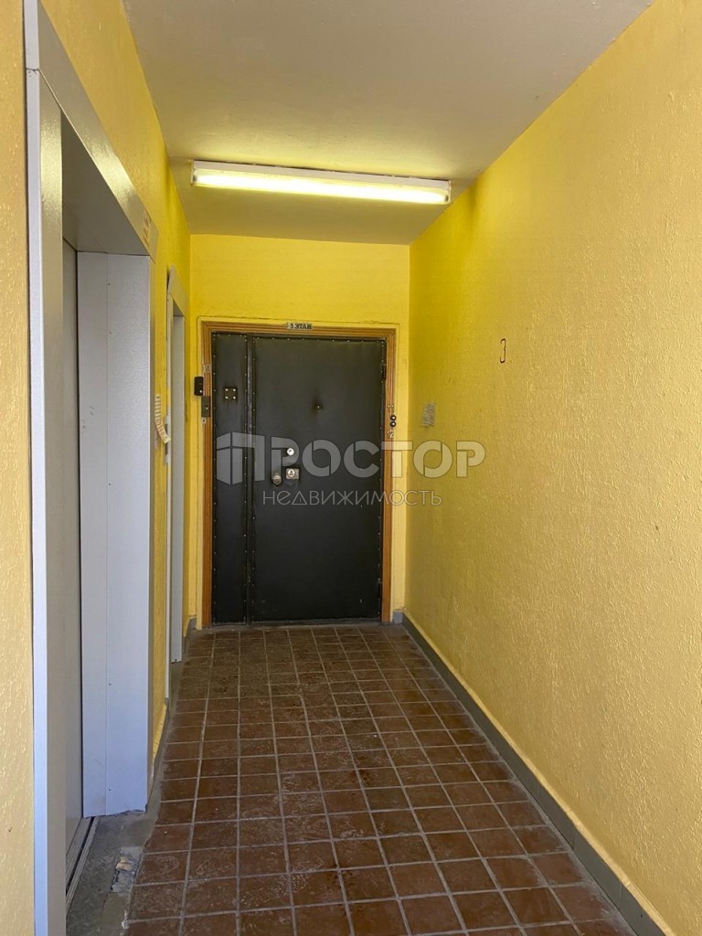 2-комнатная квартира, 53.5 м² - фото 4