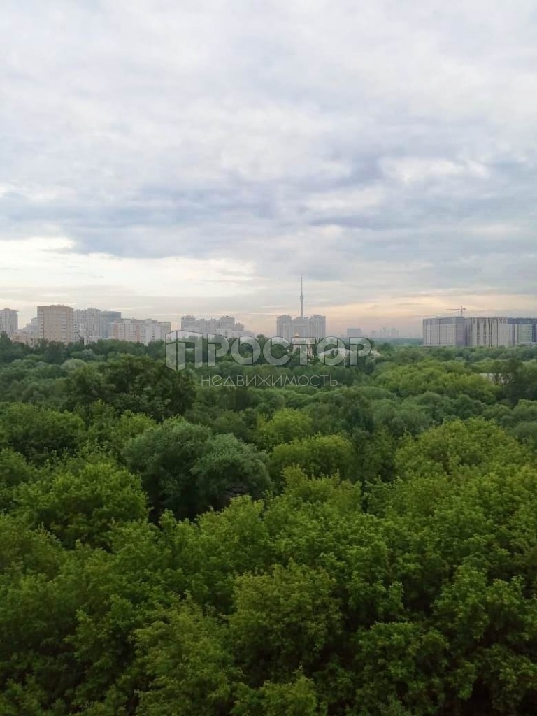 3-комнатная квартира, 76.4 м² - фото 17