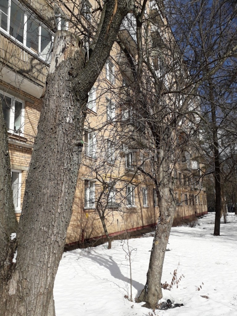 3-комнатная квартира, 55.9 м² - фото 3