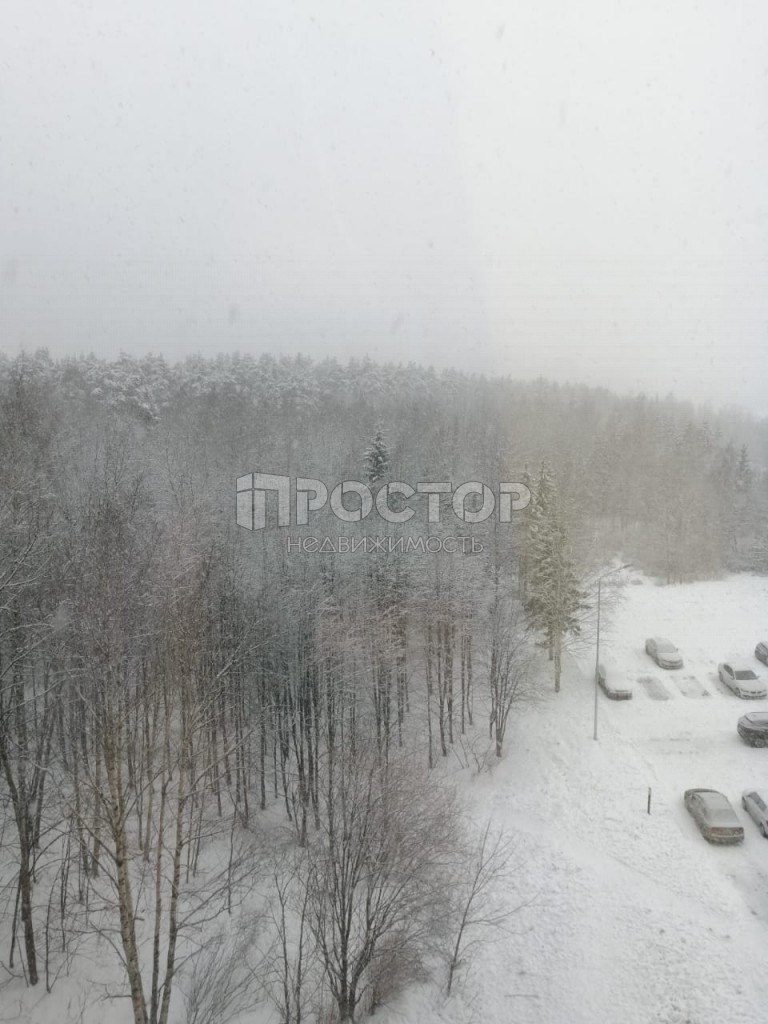 2-комнатная квартира, 51.6 м² - фото 20