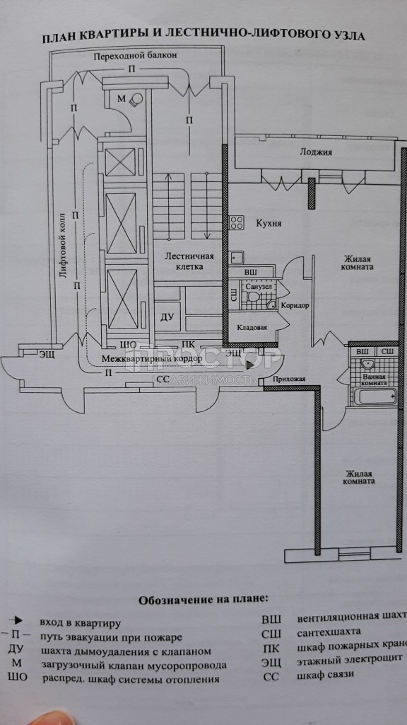 3-комнатная квартира, 68 м² - фото 3