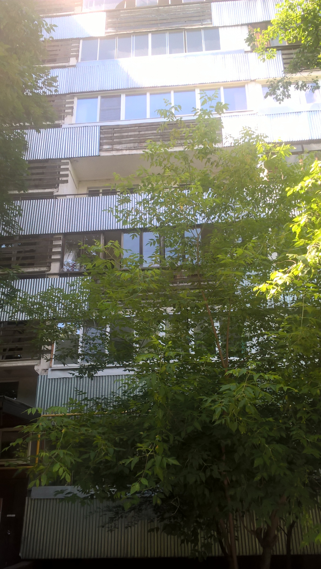 3-комнатная квартира, 63.8 м² - фото 3